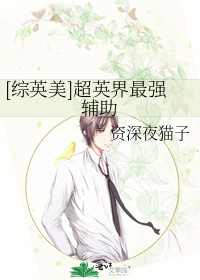 [综英美]超英界最强辅助