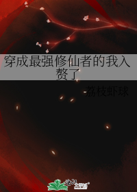穿成最强修仙者的我入赘了
