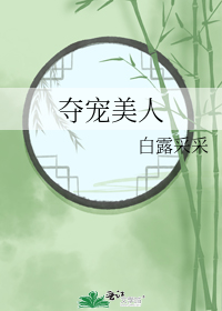 夺宠美人