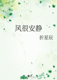 风很安静