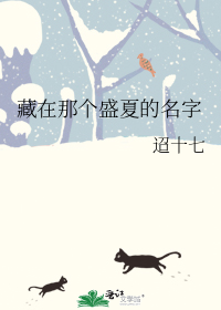 藏在那个盛夏的名字
