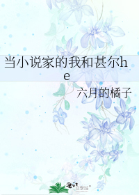 当小说家的我和甚尔he