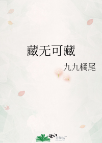 藏无可藏