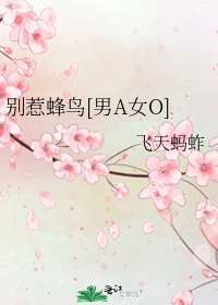别惹蜂鸟[男A女O]