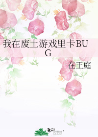 我在废土游戏里卡BUG