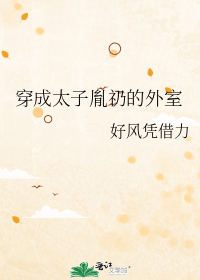穿成太子胤礽的外室