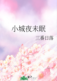 小城夜未眠