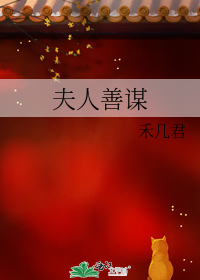 夫人善谋
