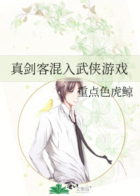 真剑客混入武侠游戏