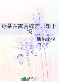 绿茶在露营综艺只想干饭