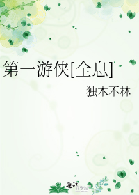 第一游侠[全息]