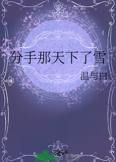 分手那天下了雪