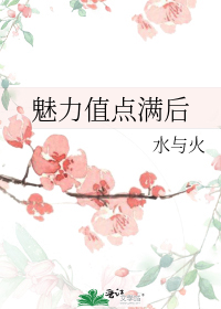 魅力值点满后