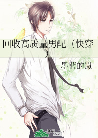 回收高质量男配（快穿）
