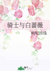 骑士与白蔷薇