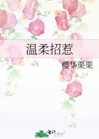 温柔招惹