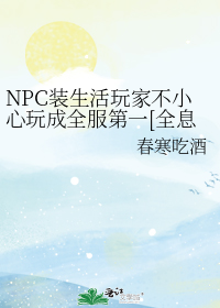 NPC装生活玩家不小心玩成全服第一[全息]