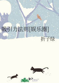 吸引力法则[娱乐圈]