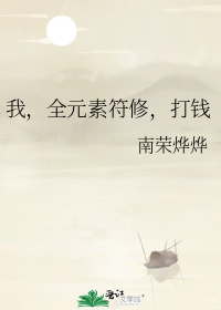 我,全元素符修,打钱