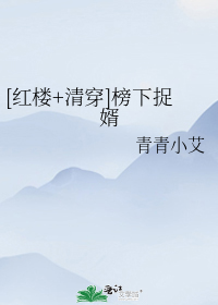 [红楼+清穿]榜下捉婿
