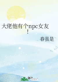 大佬他有个npc女友！