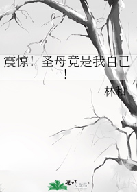 震惊！圣母竟是我自己！