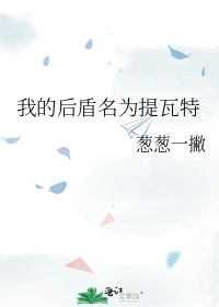 我的后盾名为提瓦特