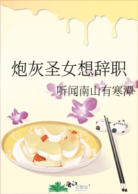 炮灰圣女想辞职