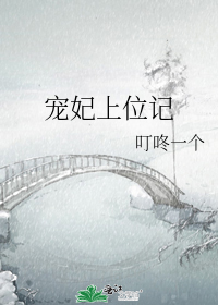 宠妃上位记