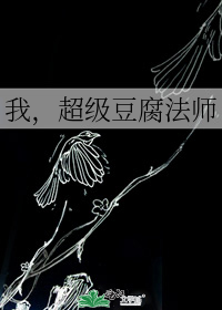 我,超级豆腐法师