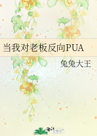 当我对老板反向PUA