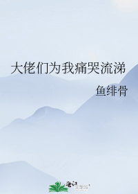 大佬们为我痛哭流涕