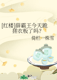 [红楼]薛霸王今天跪搓衣板了吗？