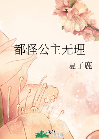 都怪公主无理