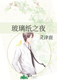 玻璃纸之夜