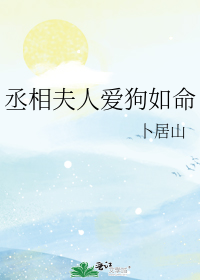 丞相夫人爱狗如命