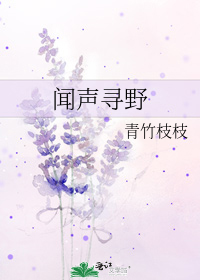 闻声寻野